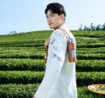 Impala Product 6 - Image 4